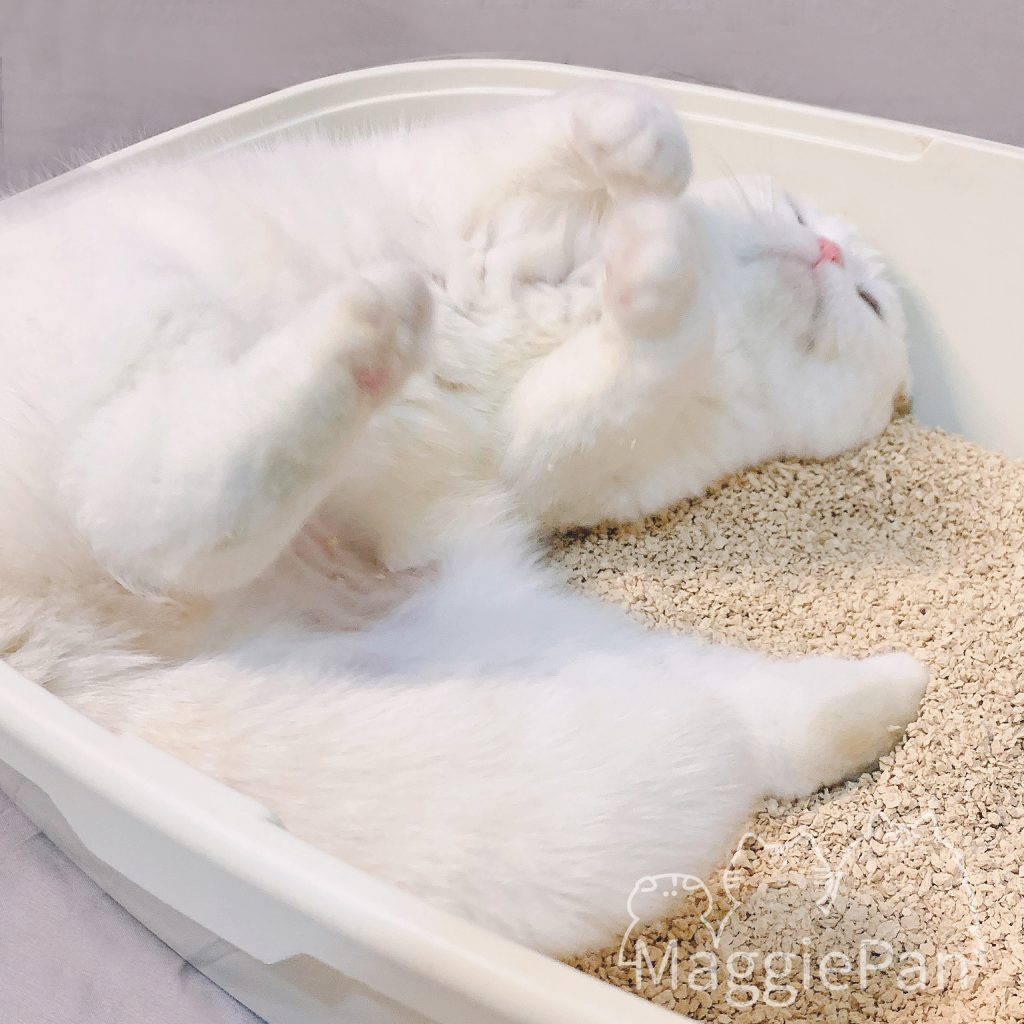 自然分解好安心，來自德國的環保貓砂：德國法麗有機凝結杉木砂 翻肚特寫